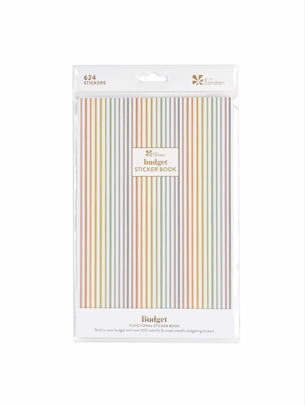 Erin Condren Budget Planning Sticker Book